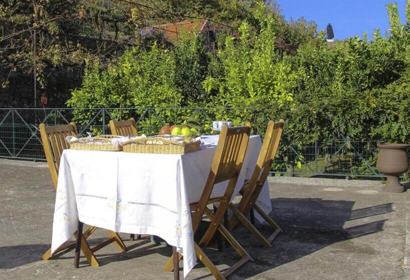 Casa Dos Varais, Manor House