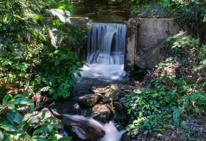 Buena Vista Del Rincon Eco Adventure Park, Hotel & Spa