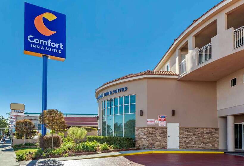 فندق Comfort Inn & Suites Near Universal  N. Hollywood  Burbank