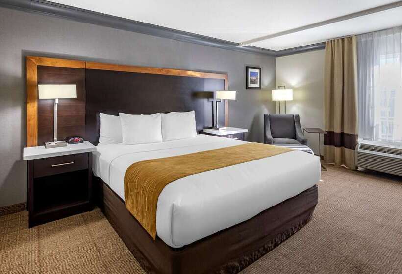 فندق Comfort Inn & Suites Near Universal  N. Hollywood  Burbank
