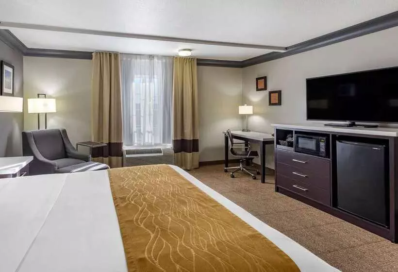 هتل Comfort Inn & Suites Near Universal N. Hollywood Burbank