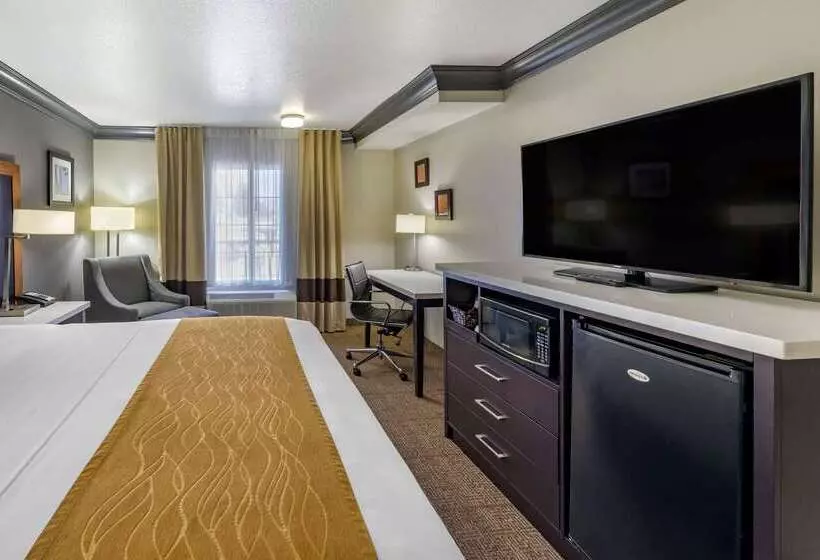 هتل Comfort Inn & Suites Near Universal N. Hollywood Burbank