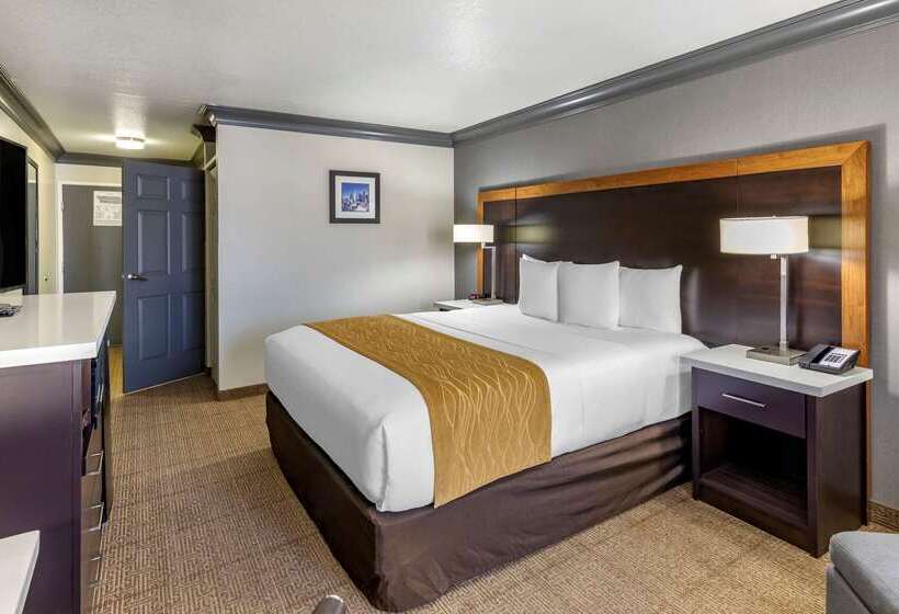 فندق Comfort Inn & Suites Near Universal  N. Hollywood  Burbank