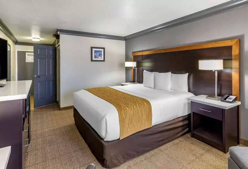 هتل Comfort Inn & Suites Near Universal N. Hollywood Burbank