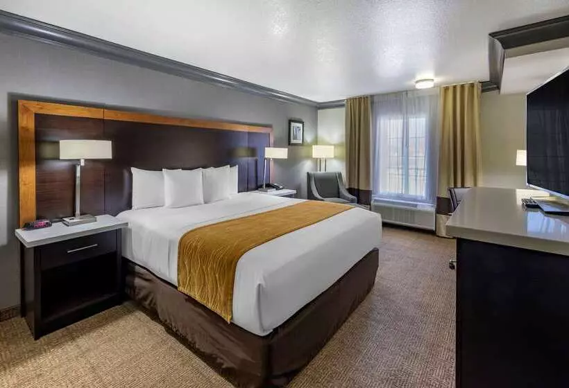 هتل Comfort Inn & Suites Near Universal N. Hollywood Burbank