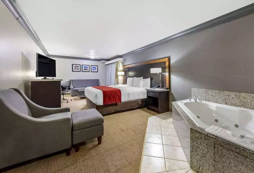 هتل Comfort Inn & Suites Near Universal N. Hollywood Burbank