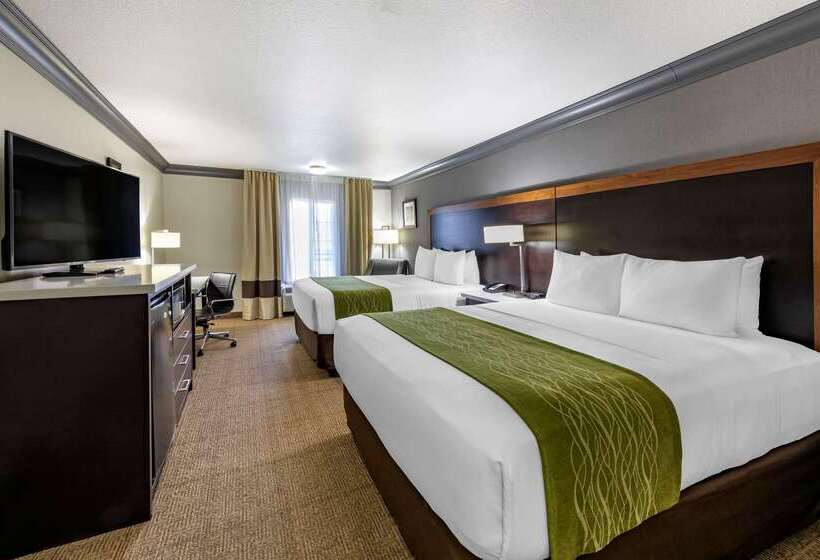 فندق Comfort Inn & Suites Near Universal  N. Hollywood  Burbank