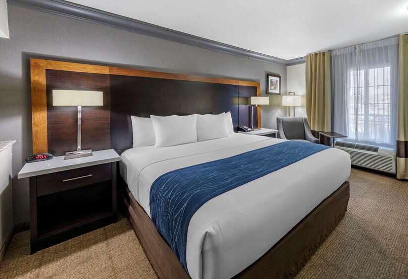 فندق Comfort Inn & Suites Near Universal  N. Hollywood  Burbank