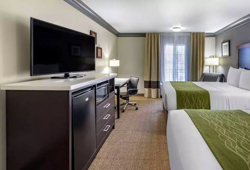 هتل Comfort Inn & Suites Near Universal  N. Hollywood  Burbank