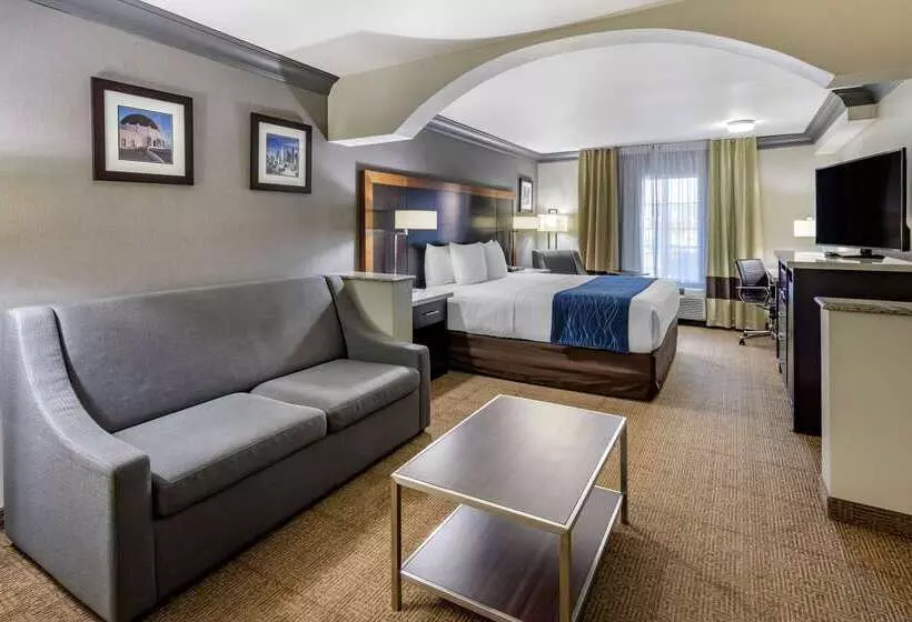 هتل Comfort Inn & Suites Near Universal N. Hollywood Burbank