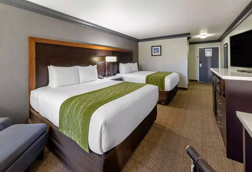 هتل Comfort Inn & Suites Near Universal N. Hollywood Burbank