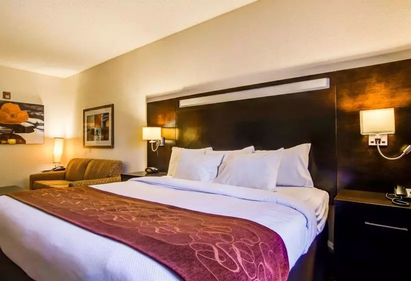 호텔 Comfort Suites Northside Hospital Gwinnett