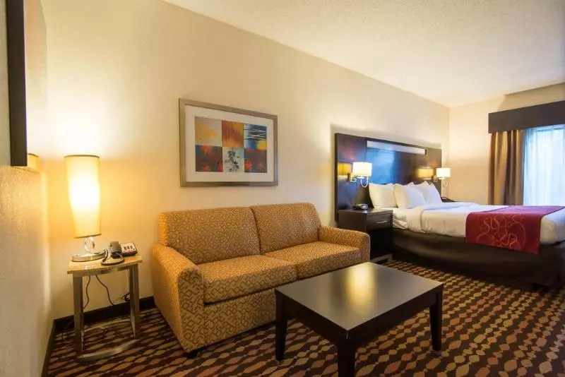 호텔 Comfort Suites Northside Hospital Gwinnett