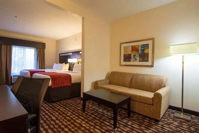 호텔 Comfort Suites Northside Hospital Gwinnett