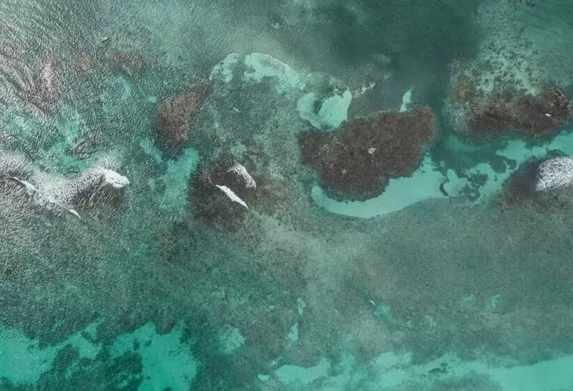 בית מלון כפרי JOIA Rose Hall by Iberostar