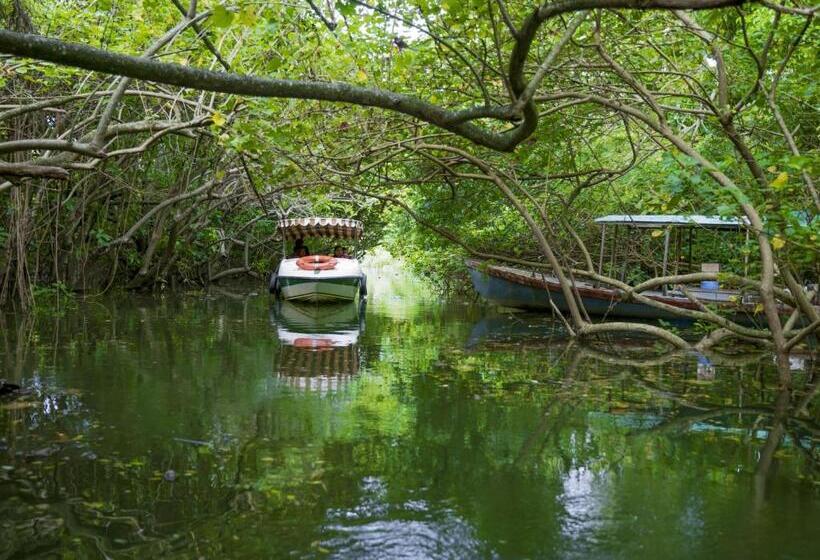 فندق Isola Di Cocco Ayurvedic Beach Resort