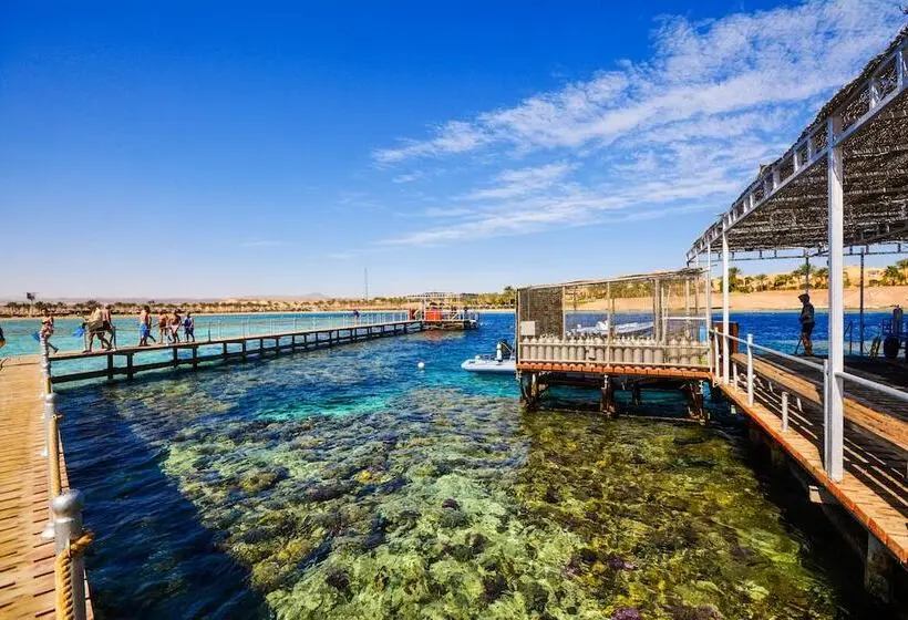 هتل Jaz Neo Dar El Madina