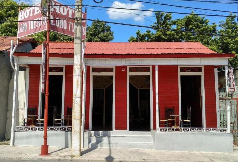 هتل Loro Tuerto
