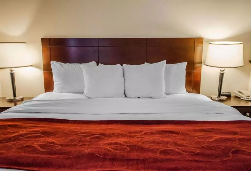 هتل Quality Suites