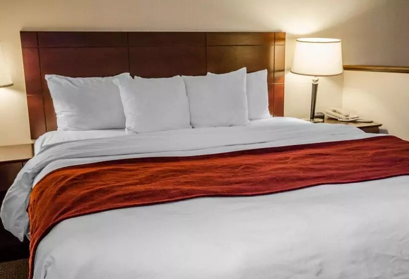 هتل Quality Suites