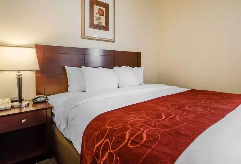 هتل Quality Suites