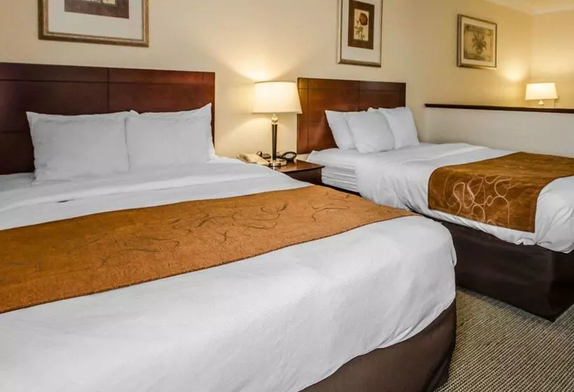 هتل Quality Suites