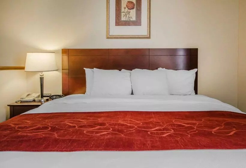 هتل Quality Suites