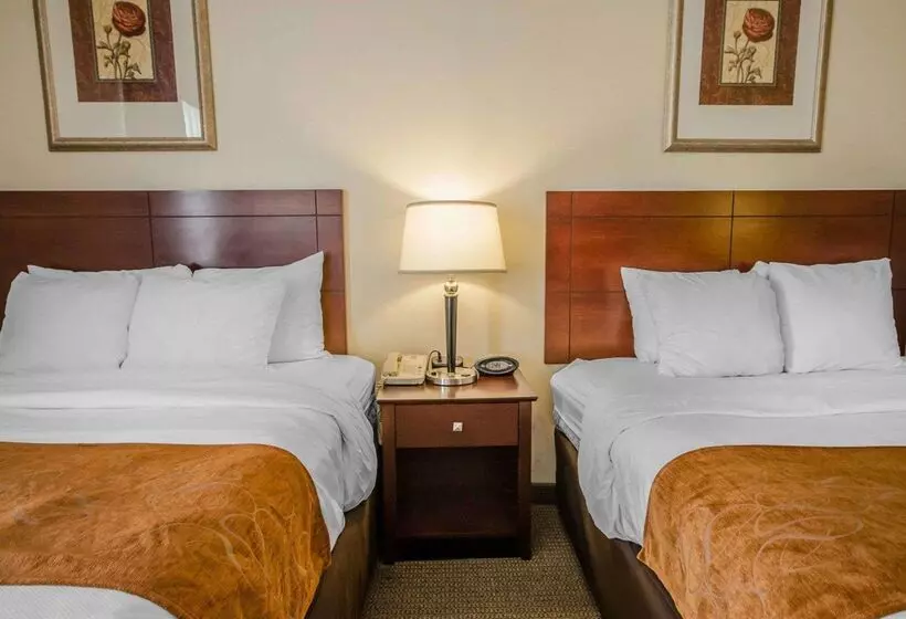 هتل Quality Suites