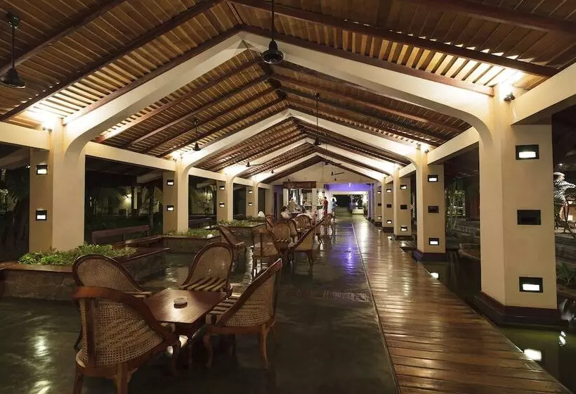 Отель The Palms