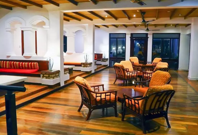 Отель The Palms