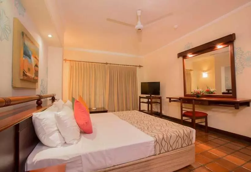 Отель The Palms