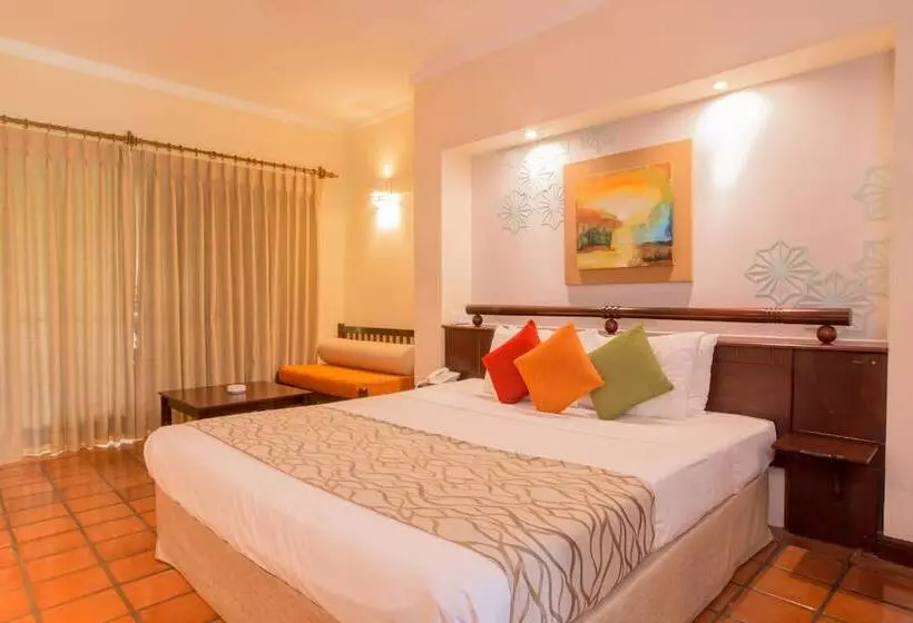 Отель The Palms