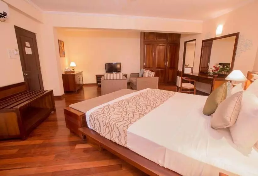 Отель The Palms