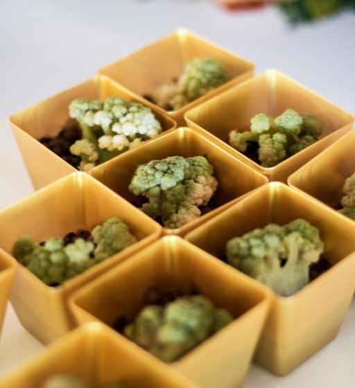 בית מלון כפרי White