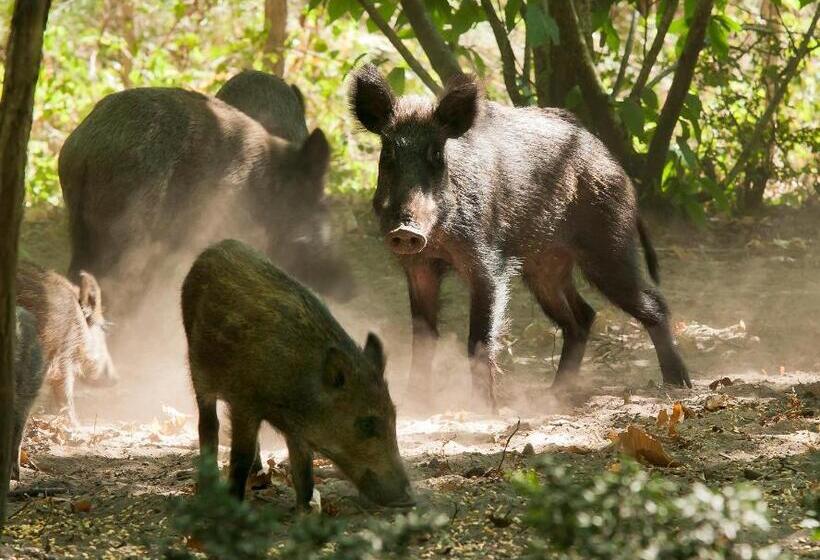 민박 Château De Salvert Appartement & Chambre D Hôtes