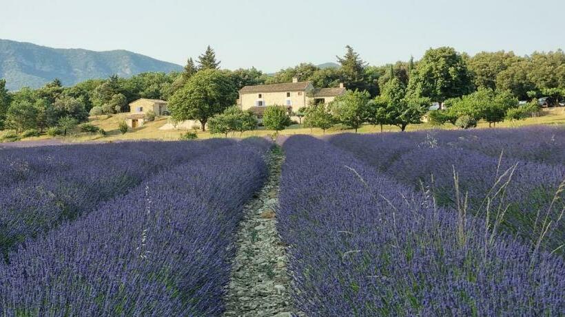 مبيت وإفطار Mas De La Lance