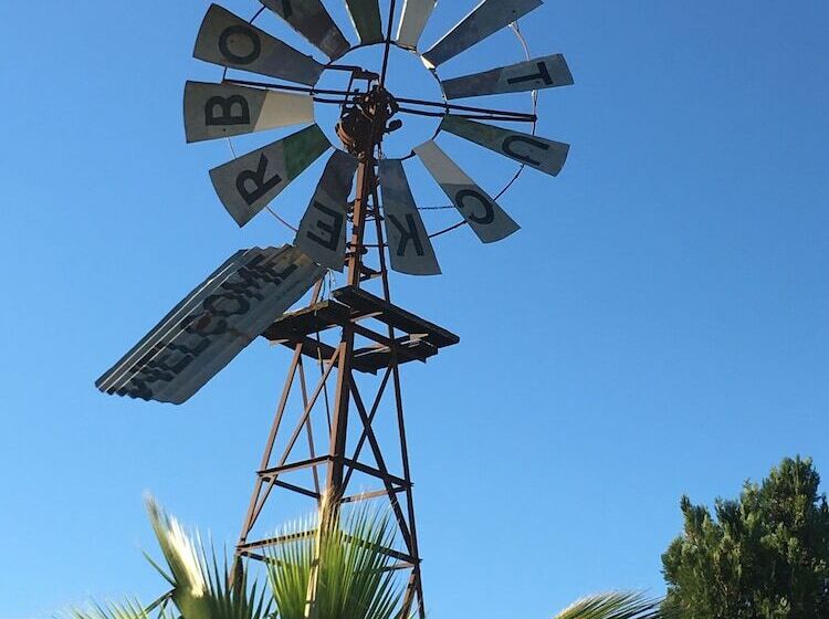 Отель Tuckerbox Motor Inn