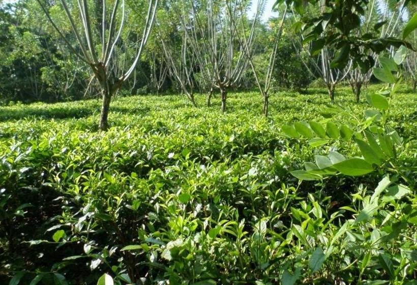 پانسیون Huma Terra Lodges