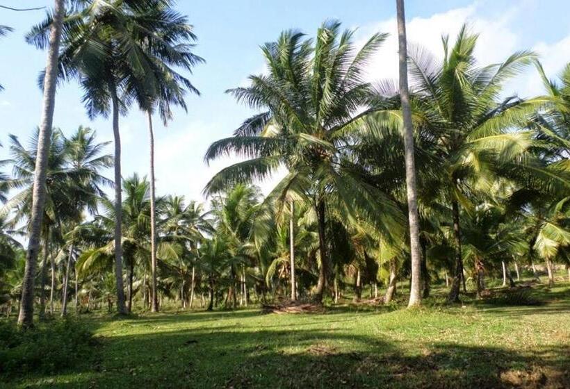 پانسیون Huma Terra Lodges