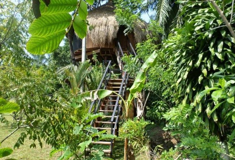 پانسیون Huma Terra Lodges