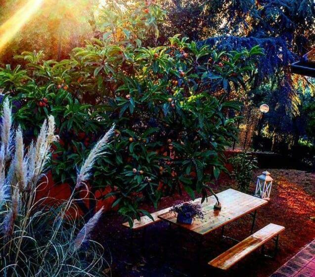 Bed and Breakfast Affittacamere Casa Mac & Rose