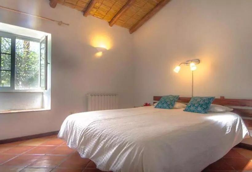 ベッドアンドブレックファースト Quinta Quinze