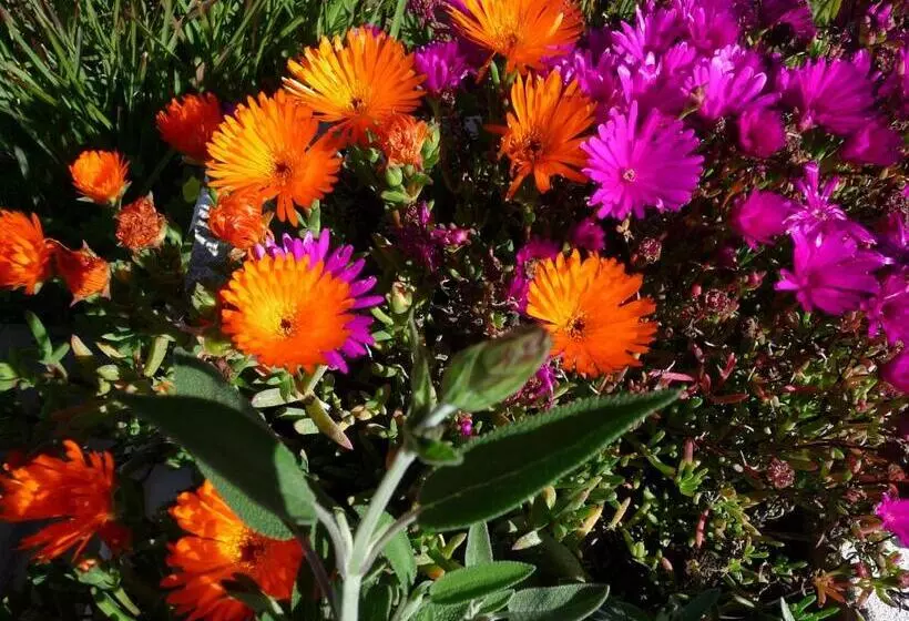 ベッドアンドブレックファースト Quinta Quinze