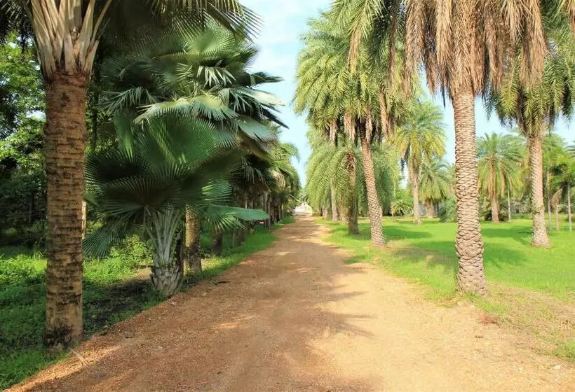 Lopburi Palm Resort