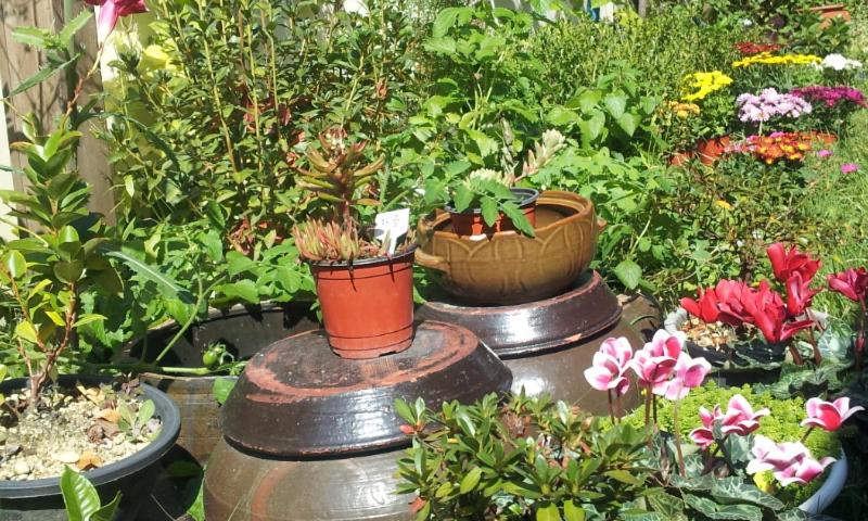 Pensió Jeonju Nostalgic Home