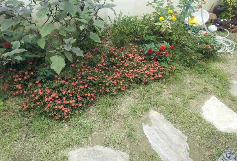 Pensió Jeonju Nostalgic Home