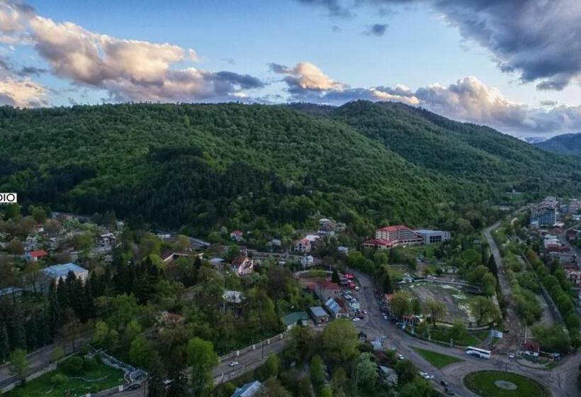 پانسیون Old Dili