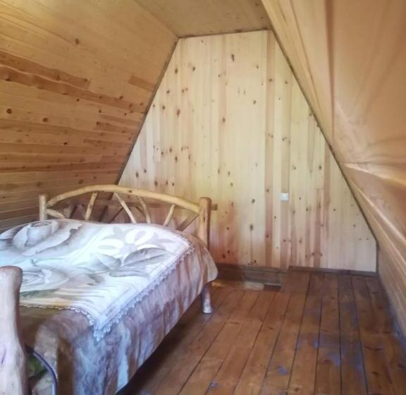 پانسیون Old Dili