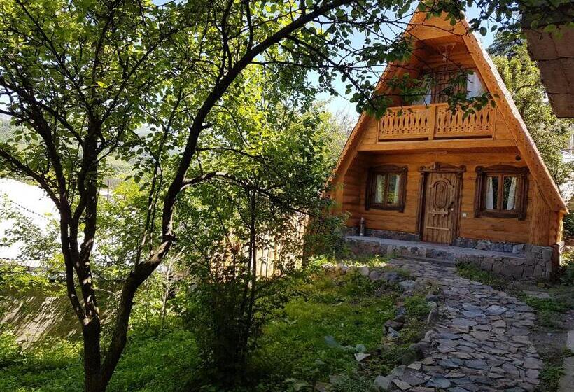 پانسیون Old Dili