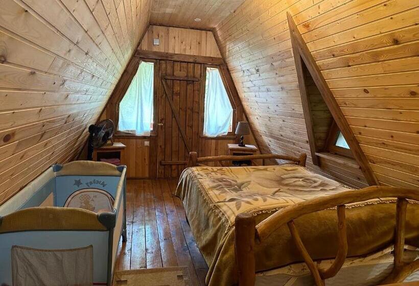 پانسیون Old Dili